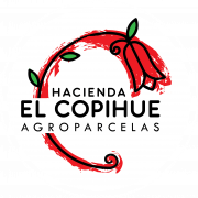 EL COPIHUE 01